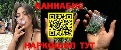 гидра Новозыбков