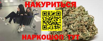 гидра Новозыбков