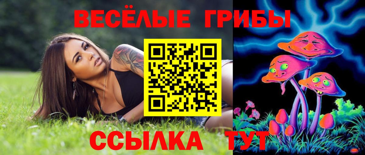 Псилоцибиновые грибы Psilocybine cubensis Похвистнево